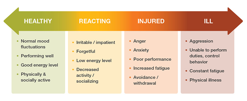How are you feeling today?